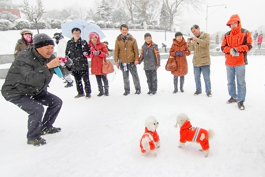 雪地精灵.jpg