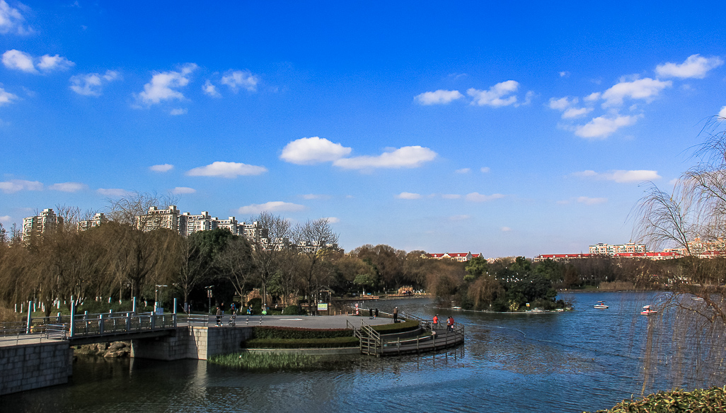 IMG_7263.jpg
