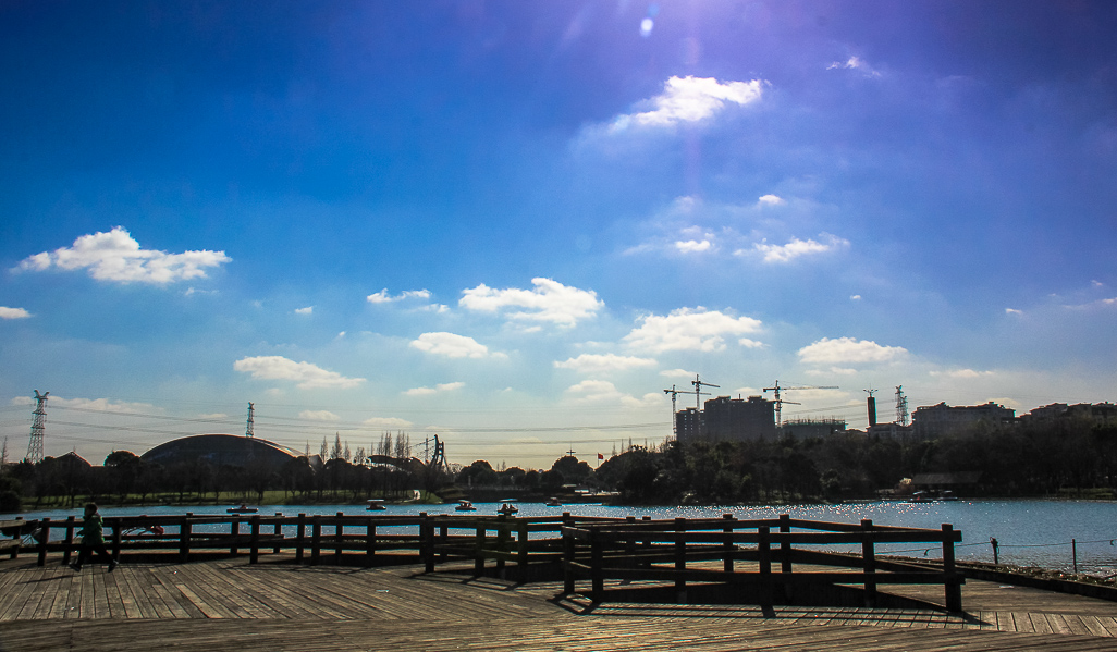 IMG_7291.jpg