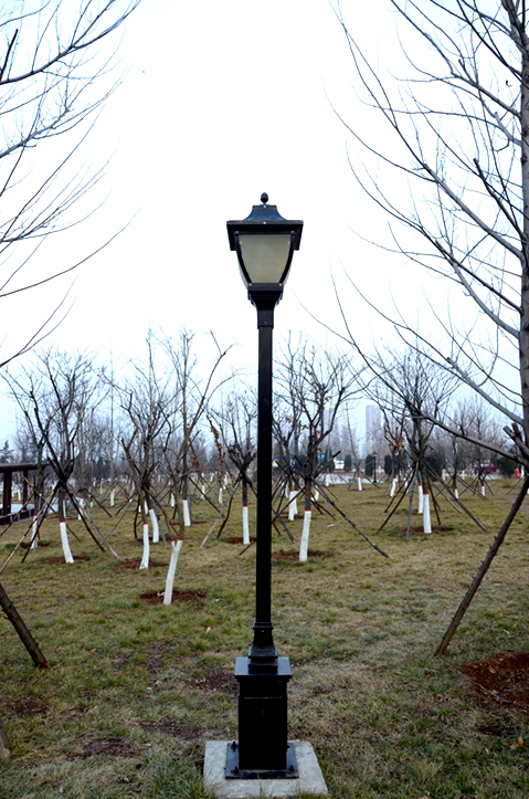 DSC灯_8214.JPG