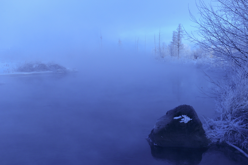 DSC_9176_2.jpg
