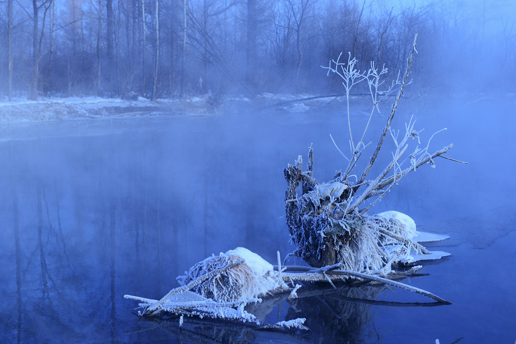 DSC_9187_1.jpg