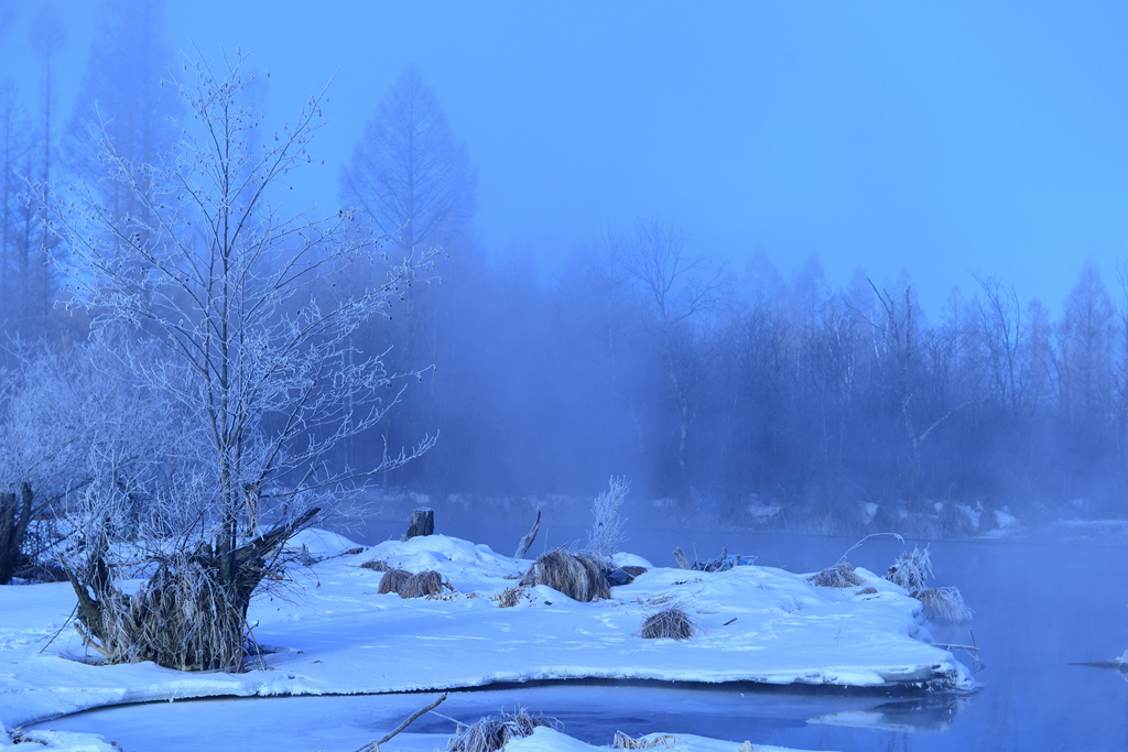 DSC_9210_1.jpg