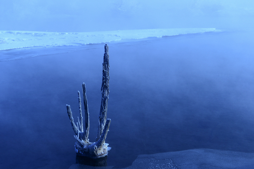 DSC_9214_1.jpg