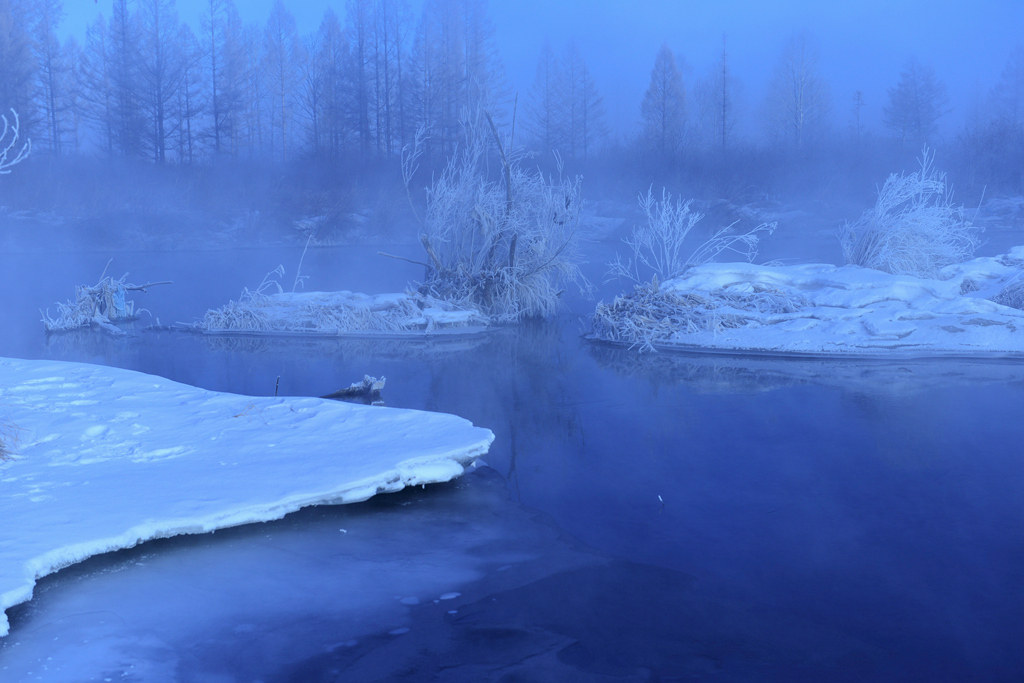 DSC_9217_1.jpg