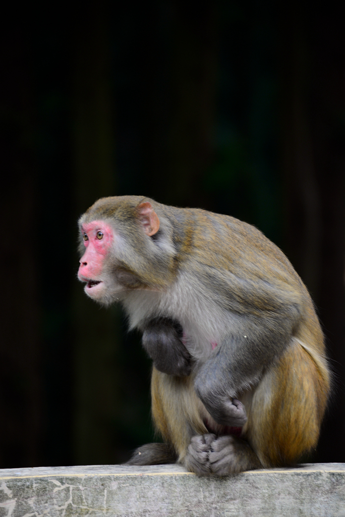 DSC_8234_1.jpg