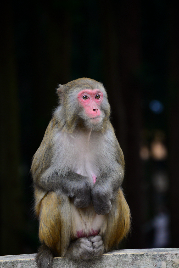 DSC_8235_1.jpg