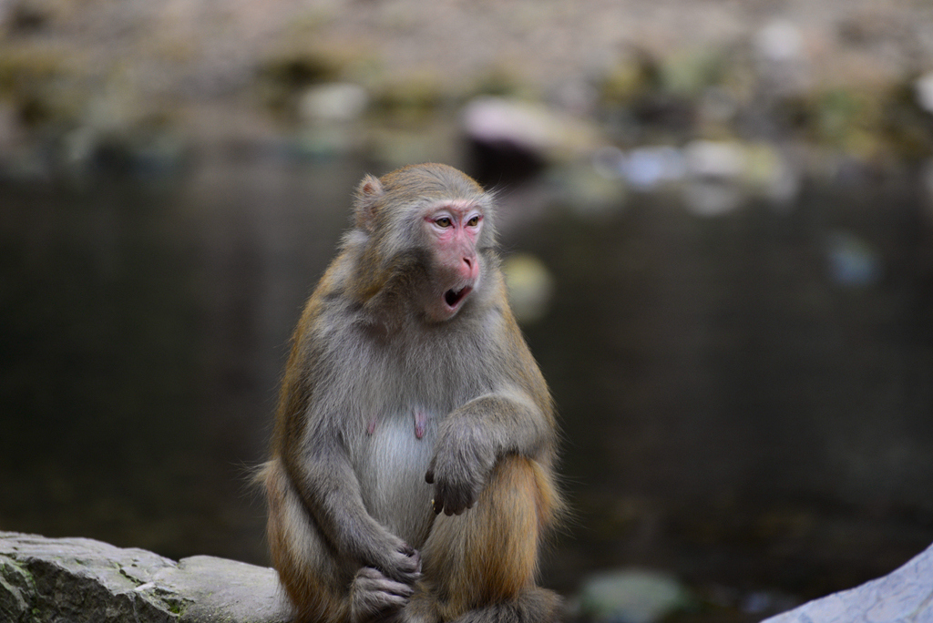 DSC_8490_1.jpg