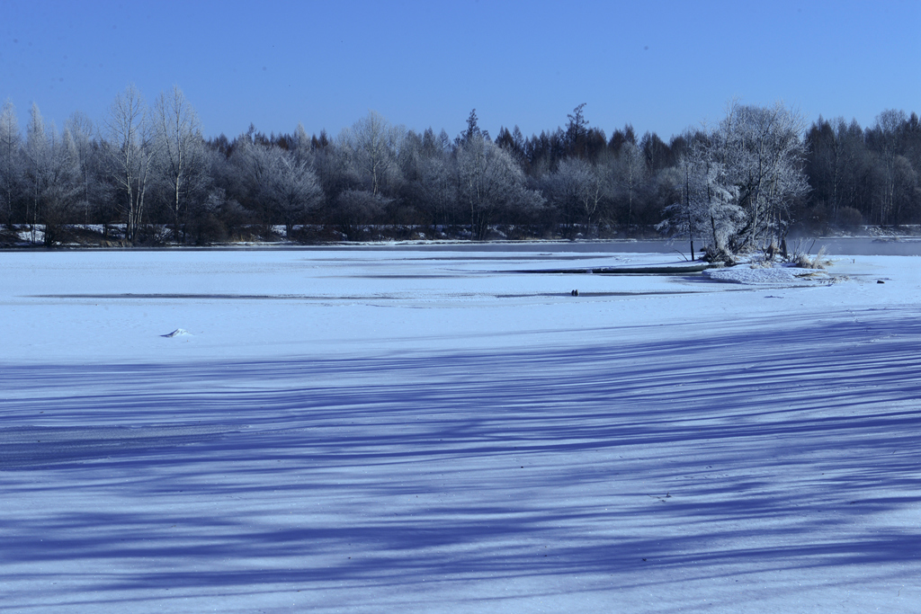 DSC_9257_1.jpg