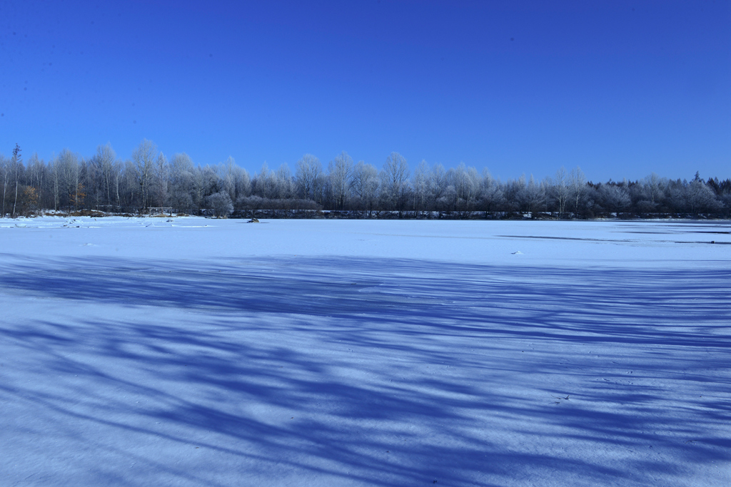 DSC_9259_1.jpg