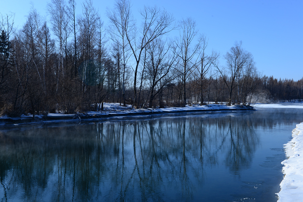 DSC_9301.JPG