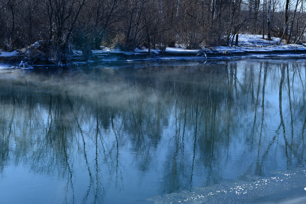 DSC_9313.JPG