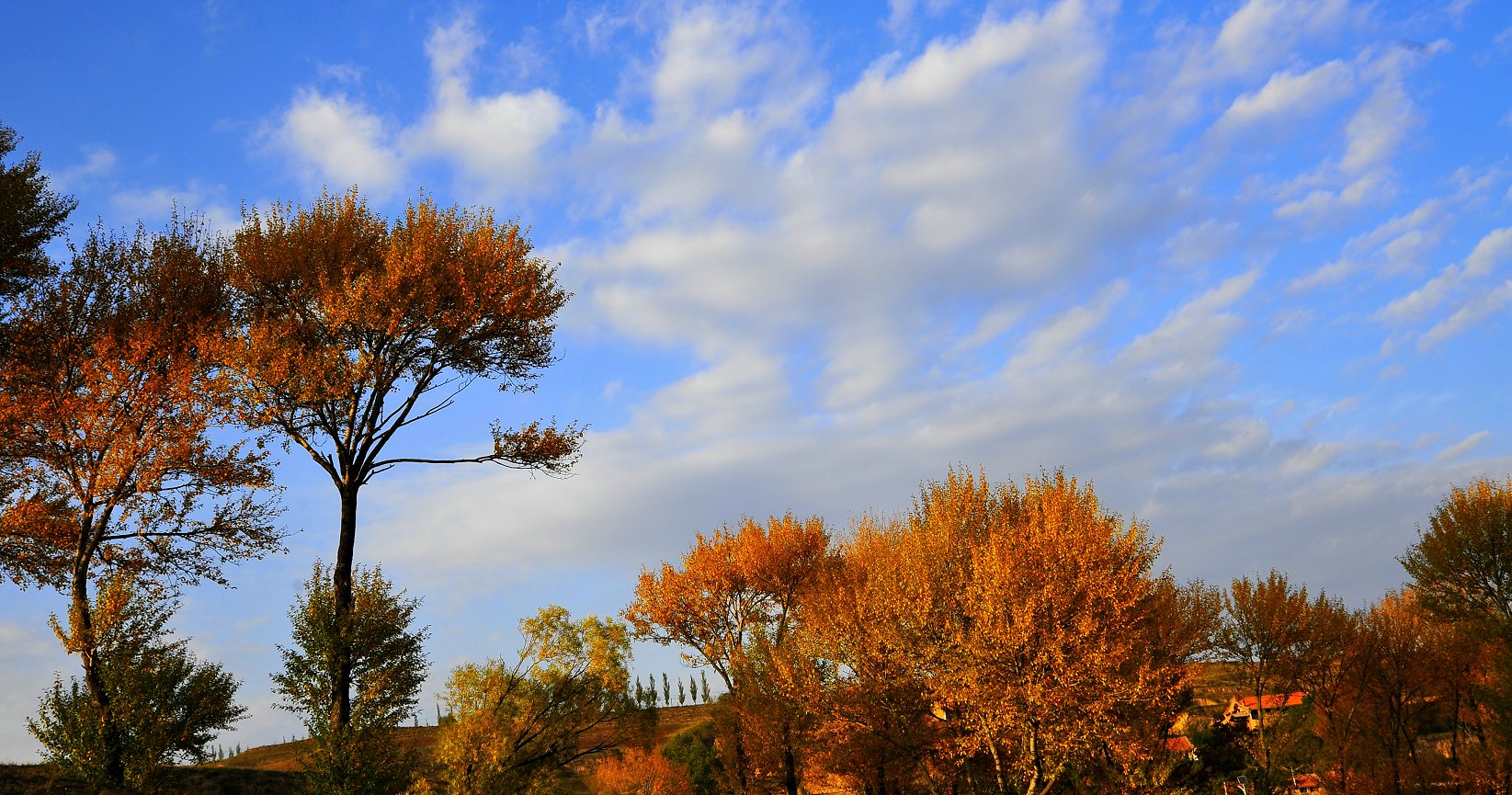 _DSC0659_看图王 - 副本.jpg