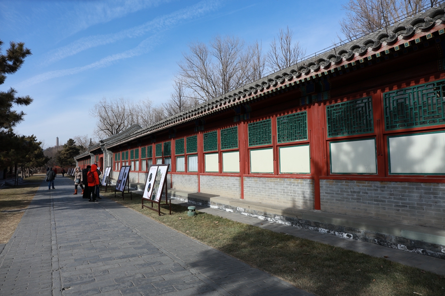 B33.JPG