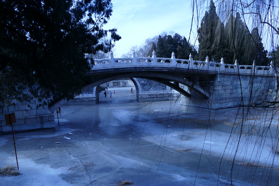 B165.JPG