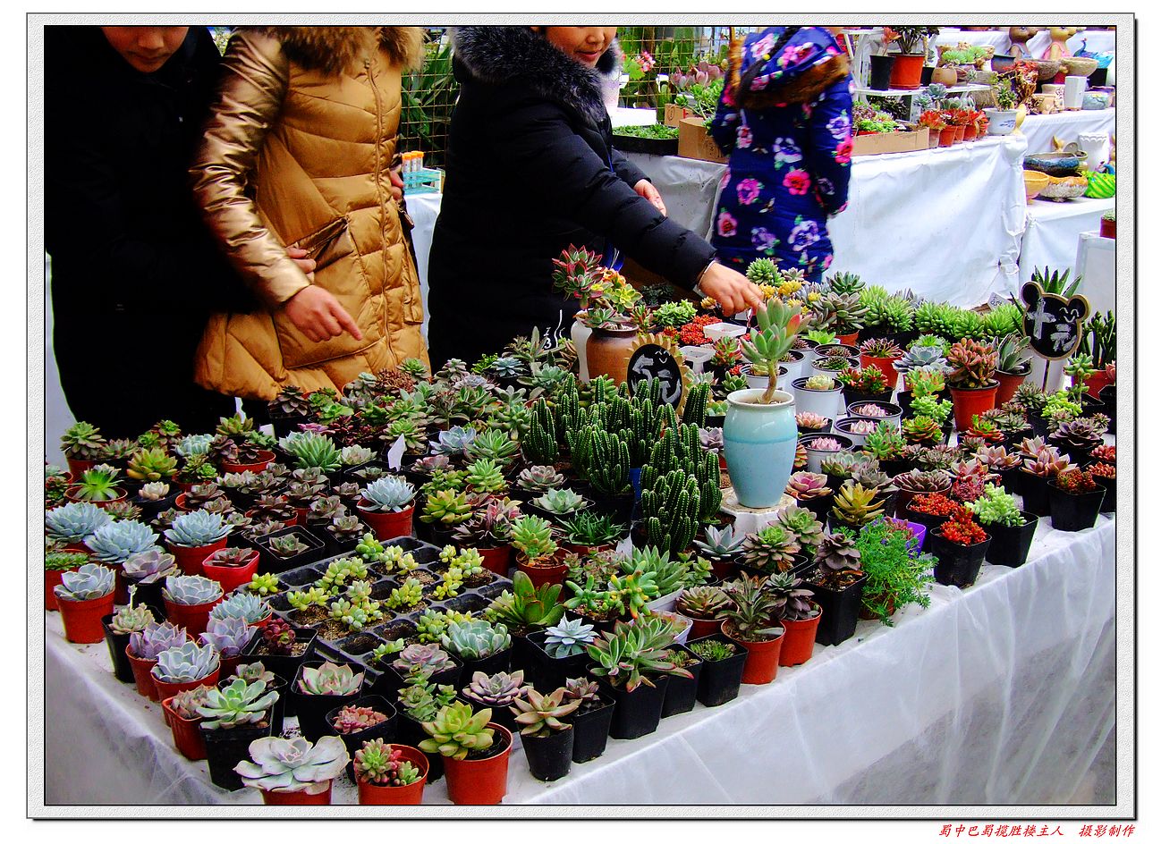 DSCF7538a.jpg