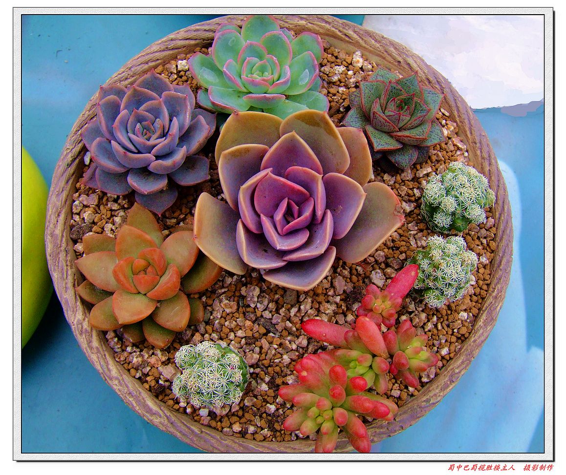 DSCF7601a.jpg