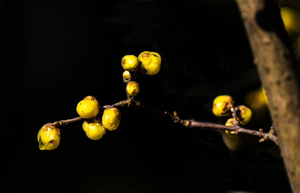 IMGP3427X1.jpg