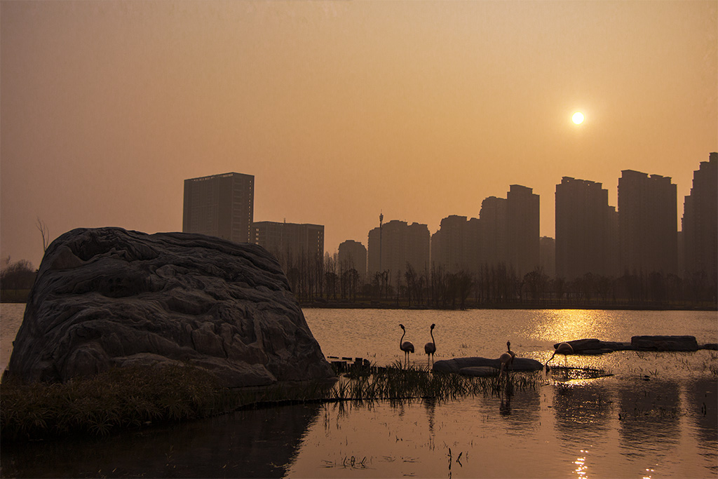 _MG_3600-1.jpg