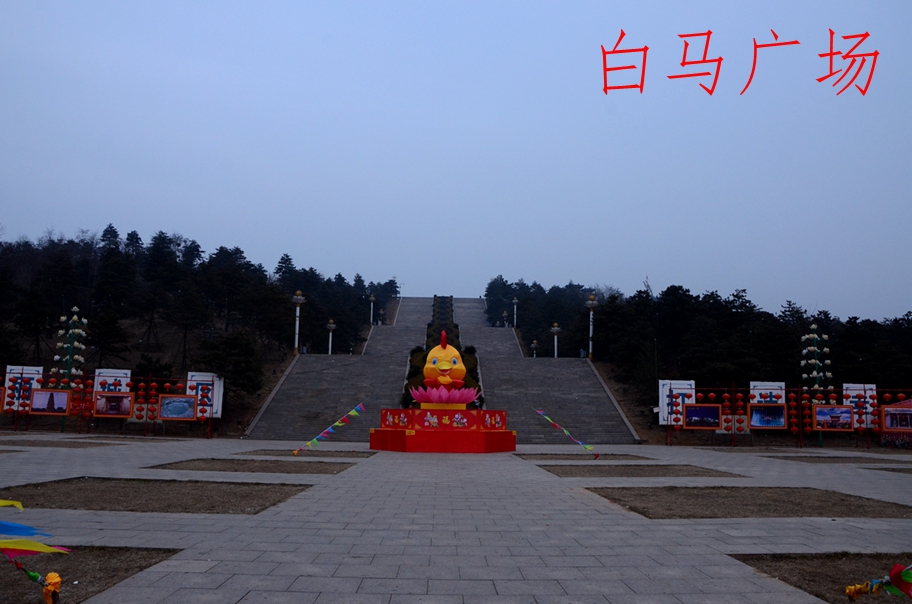 DSC_8664.JPG