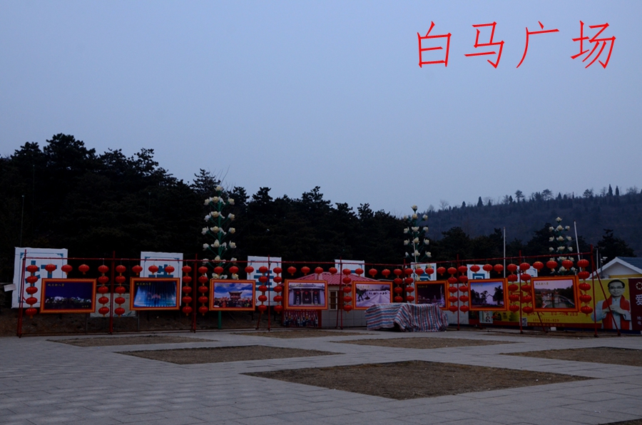 DSC_8665.JPG