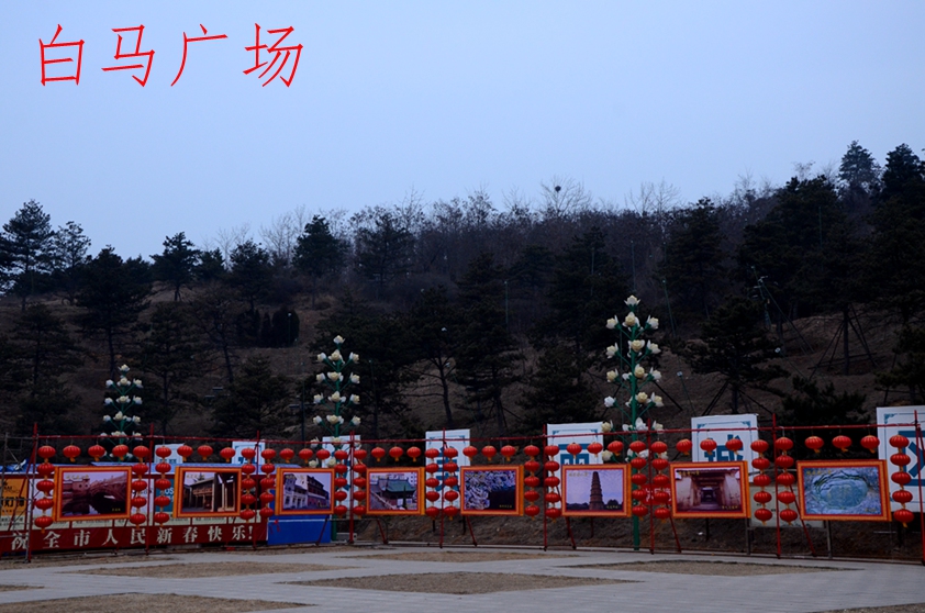 DSC_8666.JPG