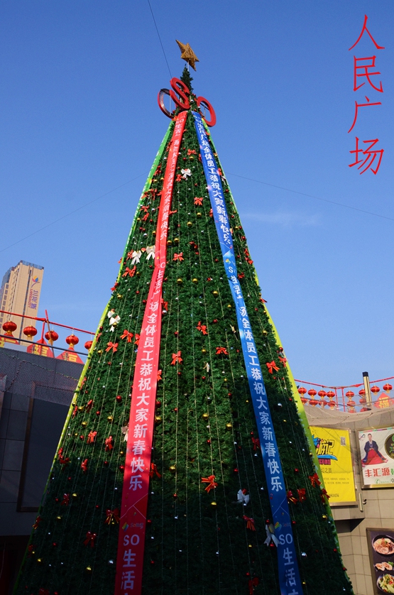 DSC_8742.JPG
