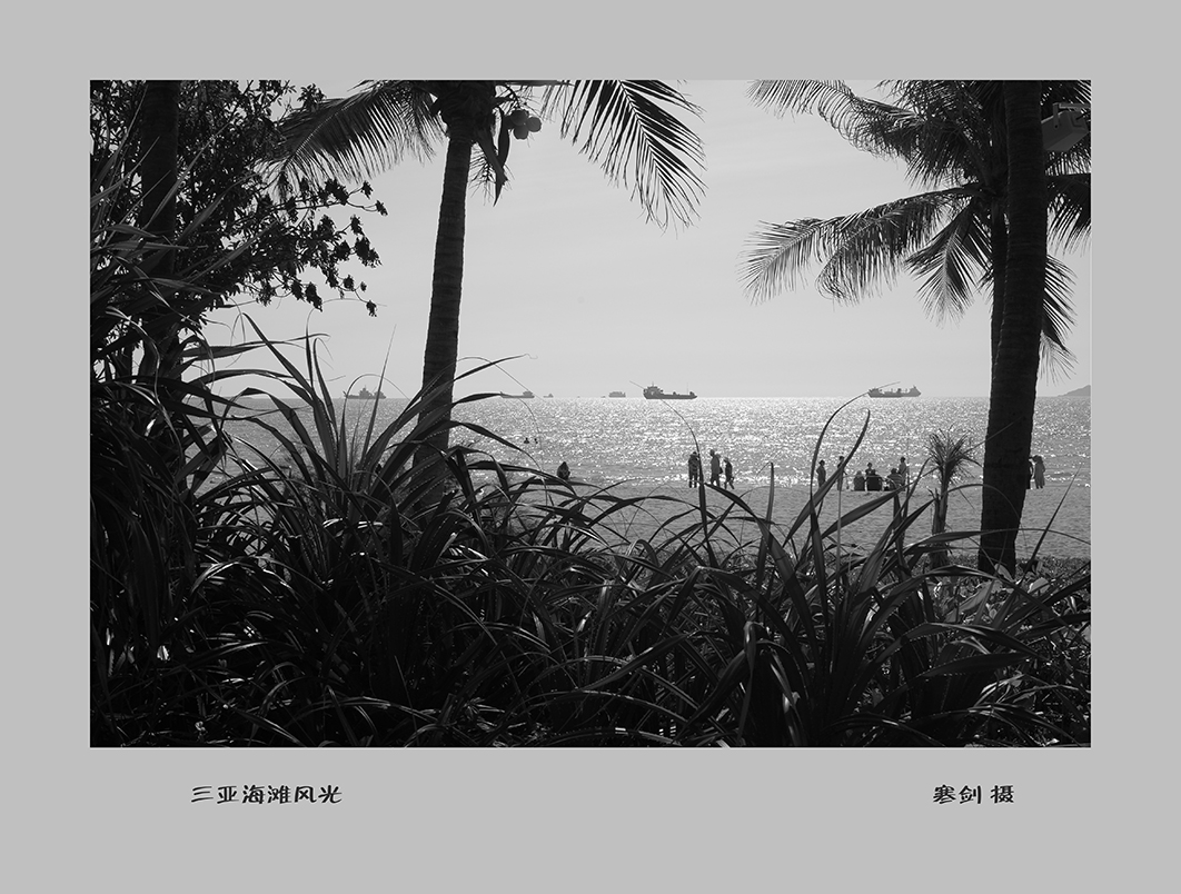 海L1006498_副本.jpg