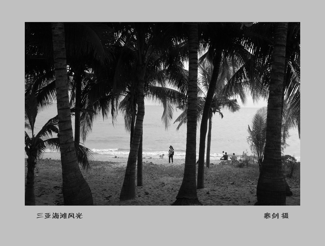 海L1006565_副本.jpg
