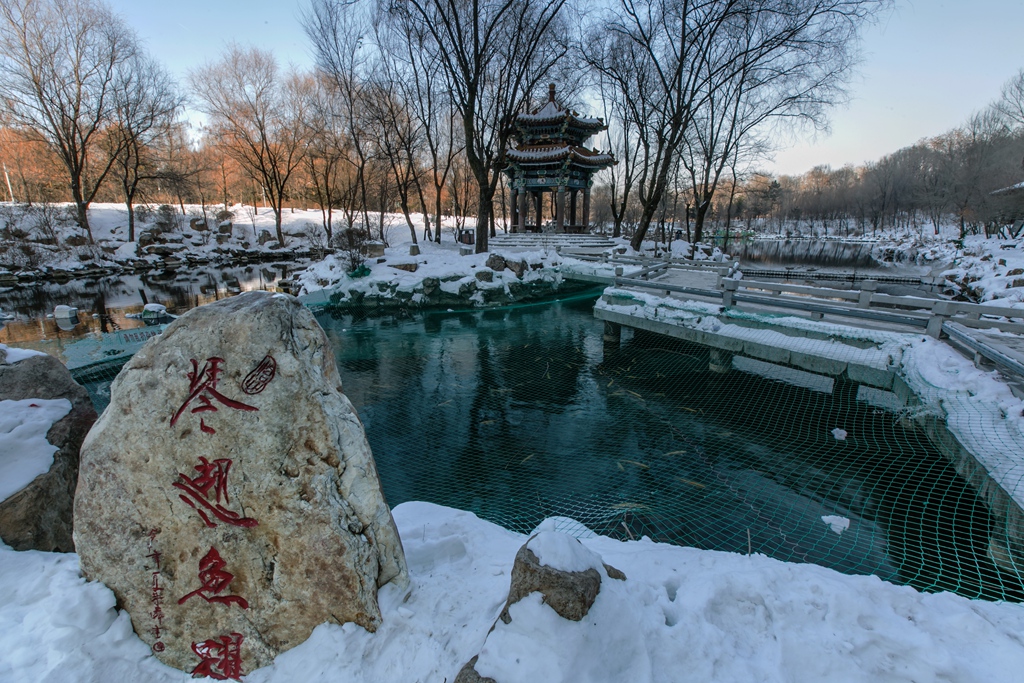 “459A4662”为智能对象-1.jpg