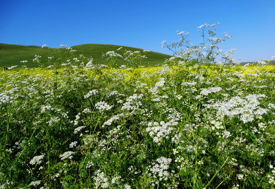 B83.jpg