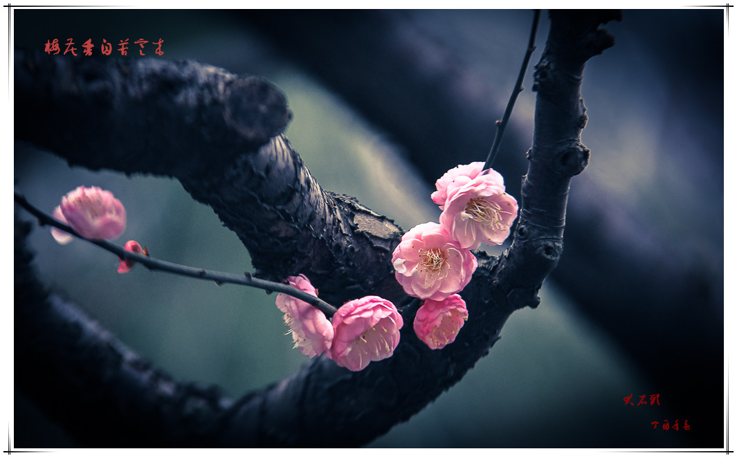 IMG_7620-3_副本.jpg
