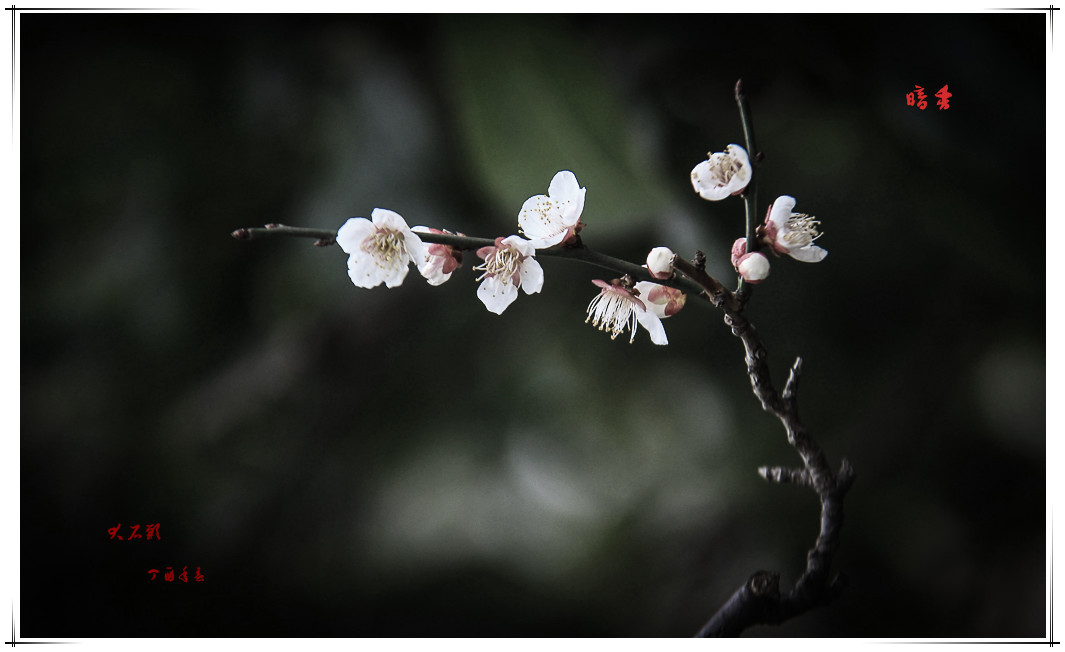 IMG_7641-2_副本.jpg