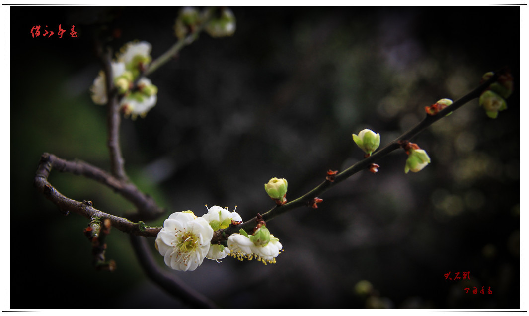 IMG_7773_副本.jpg