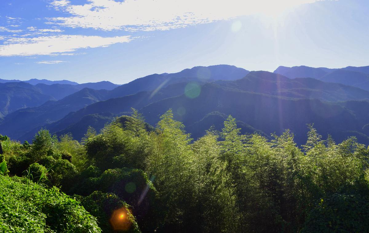 DSC_0330_副本.jpg