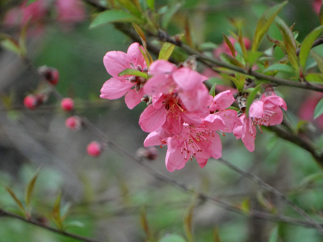 DSC08376.jpg