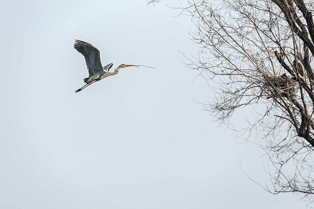 DSC_3991.jpg