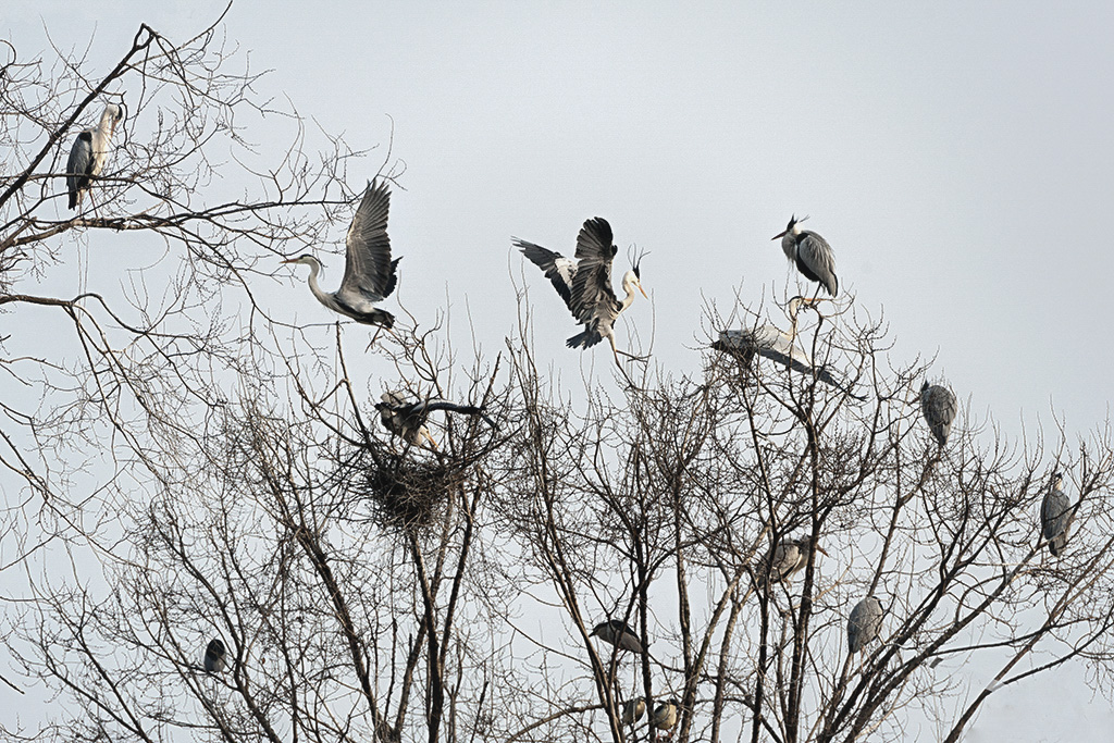 DSC_4014.jpg