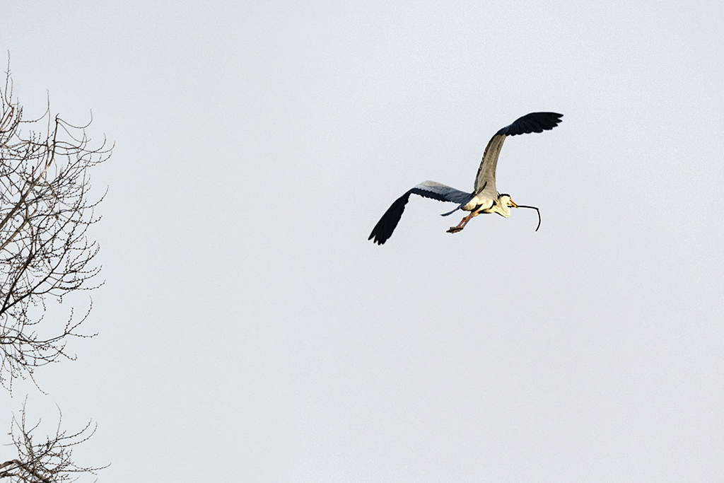 DSC_4042.jpg