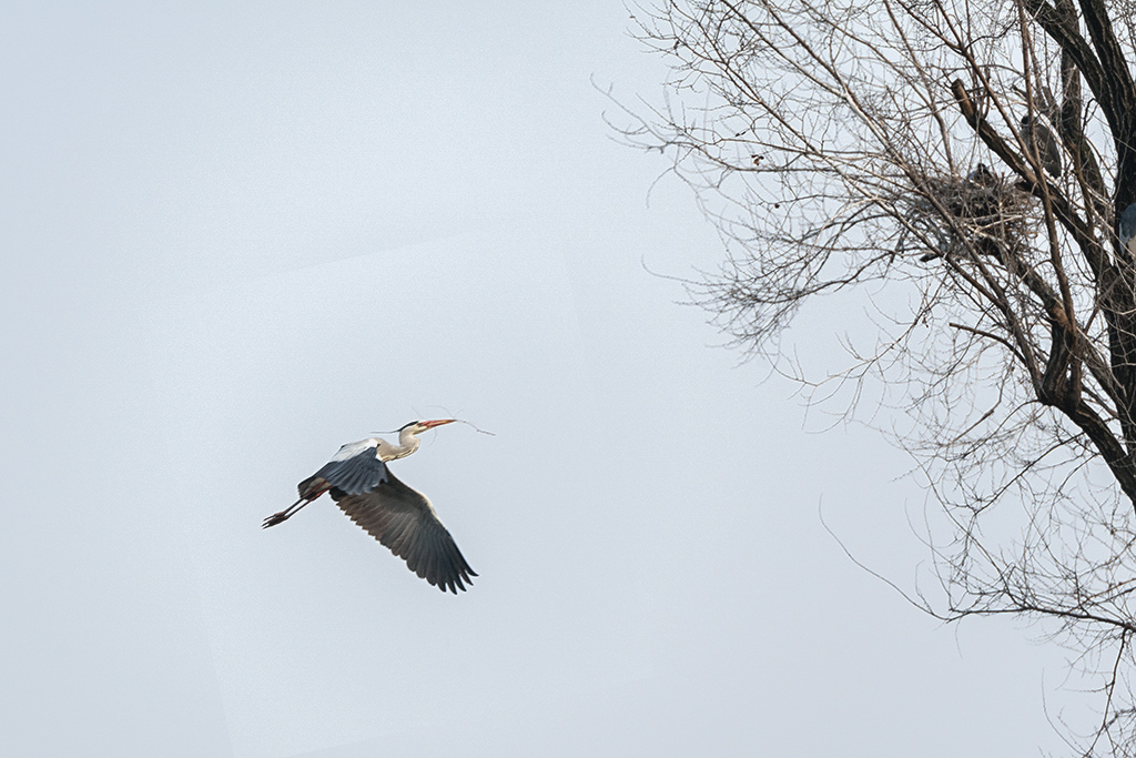 DSC_4215.jpg