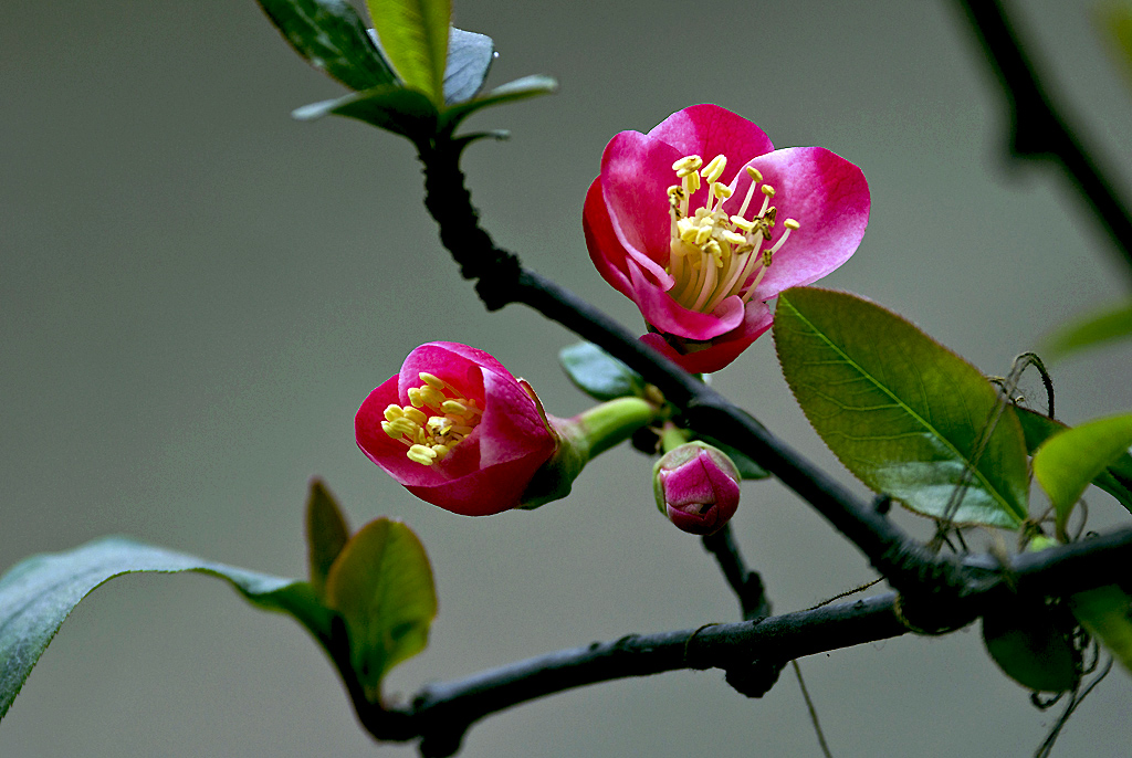 IMGP4840副本副本.jpg