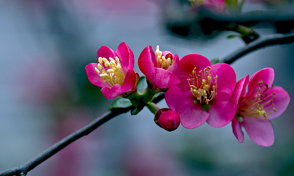 IMGP4871副本.jpg