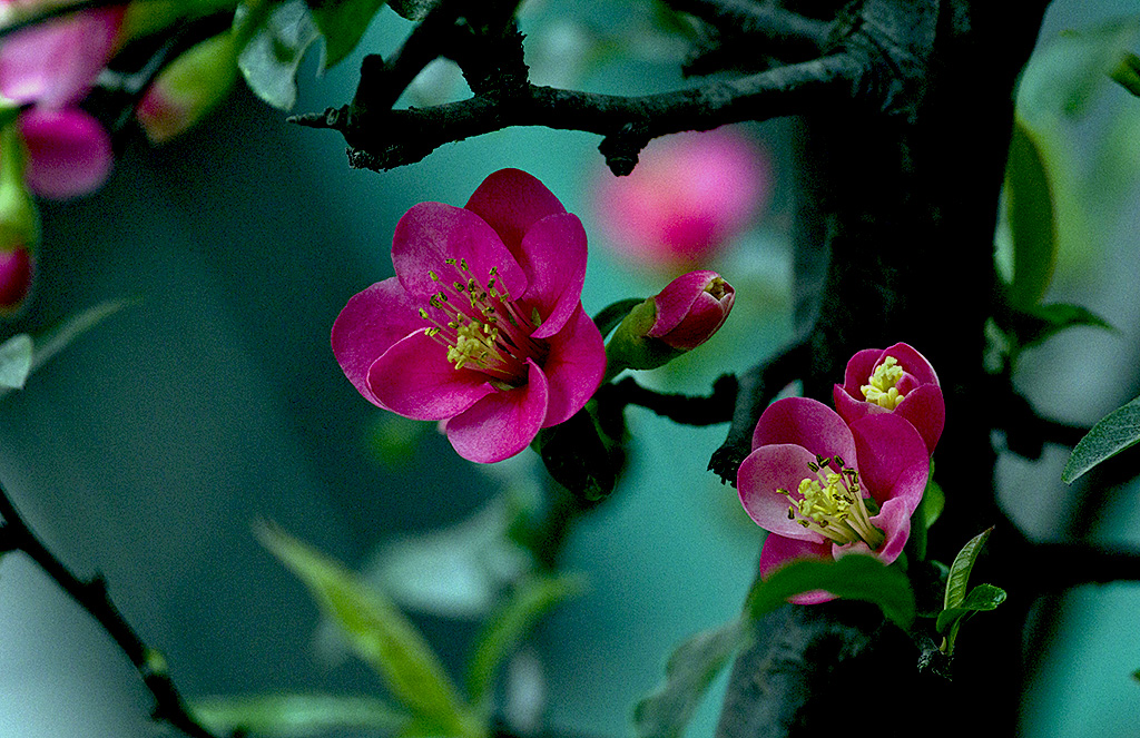 IMGP4873副本.jpg