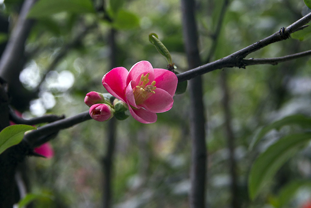 IMGP6697副本.jpg