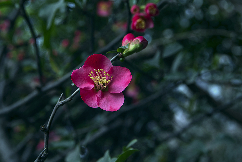 IMGP6706副本.jpg