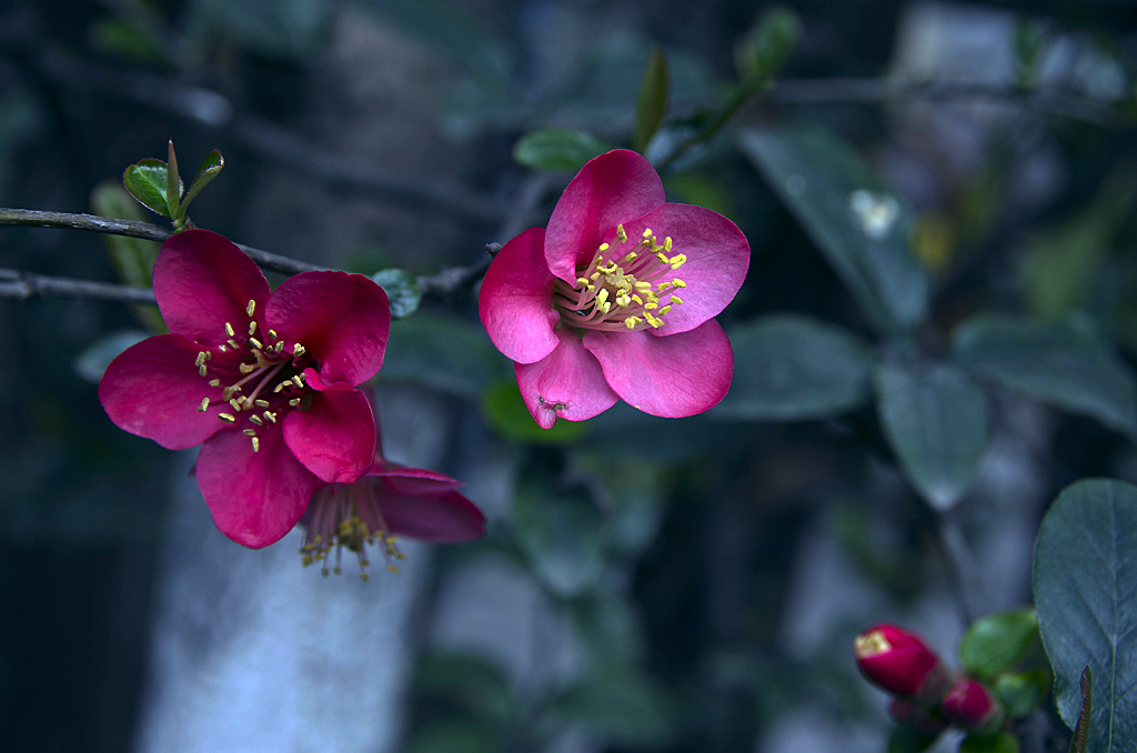 IMGP6711副本.jpg