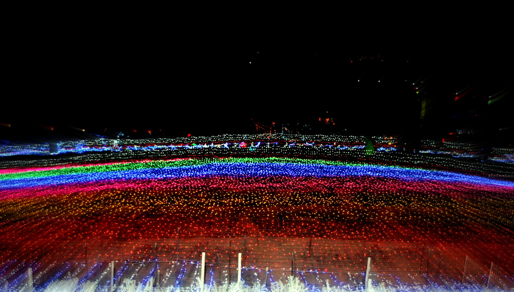 014DSC03309.JPG