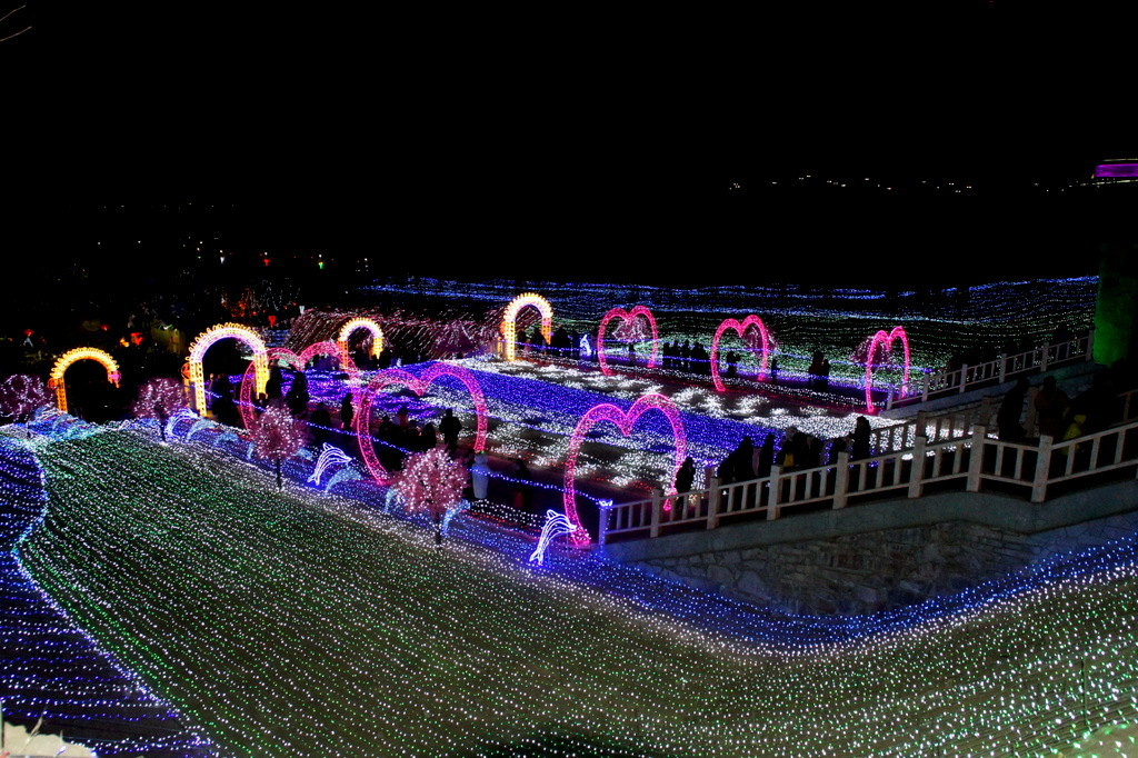 030DSC03296.JPG