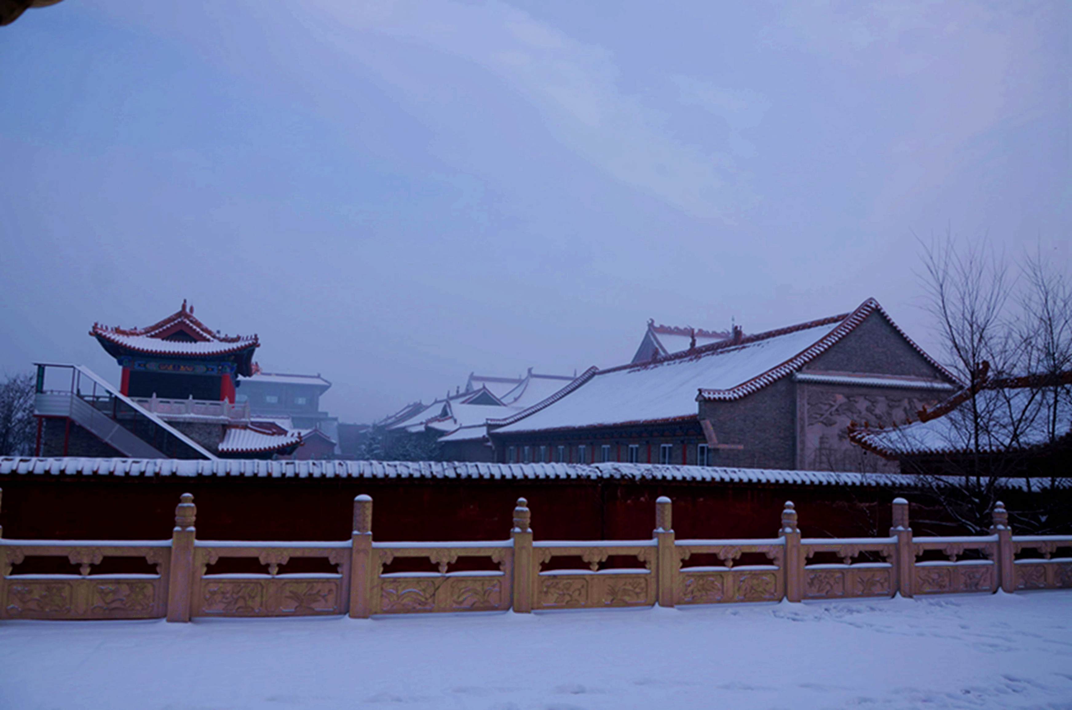DSC_9681_副本.jpg
