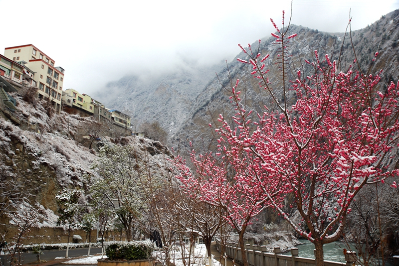 春雪     曾生迪摄影01.jpg